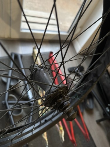 Kisbikeco rattlesnake rhd - kisbikeco.,