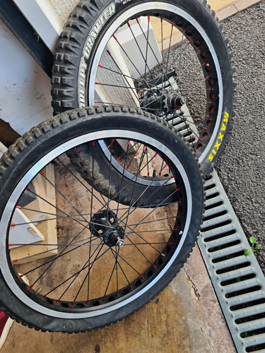20in traisl bike wheel - 20in,